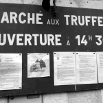 Marché aux truffes de noël 2014